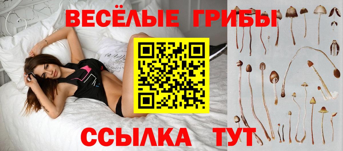 Псилоцибиновые грибы Magic Shrooms Елизово