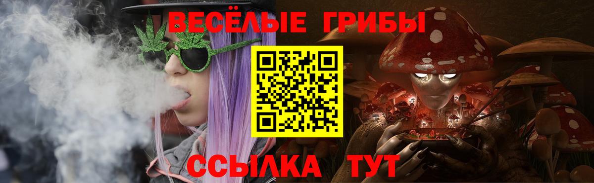 Галлюциногенные грибы ЛСД  Вход с VPN  Елизово 