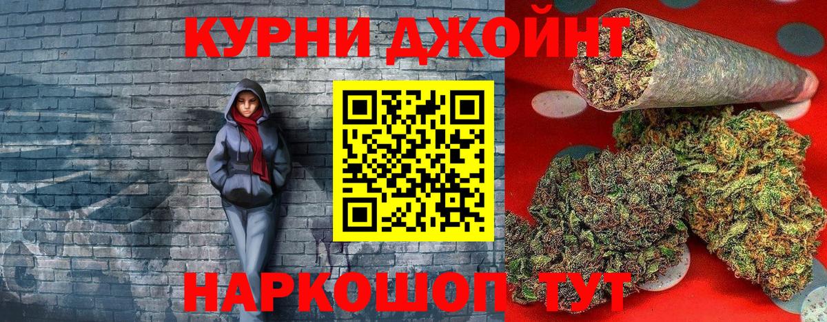 Бошки Шишки планчик Елизово